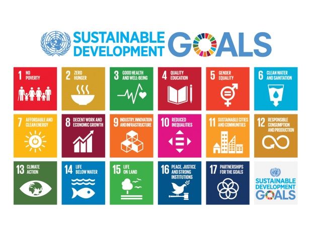 readyplayer-2030-sustainable-development-goals