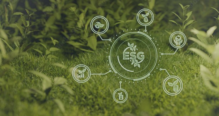 Environment Social Governance (ESG) - Ready Player Ventures